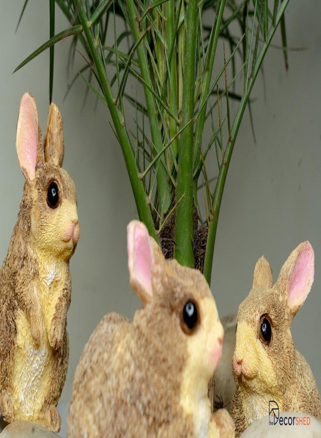 The Decorshed Cute Rabbit Set of 3 for Room Decor, Home Decor (Brown) - Image 3